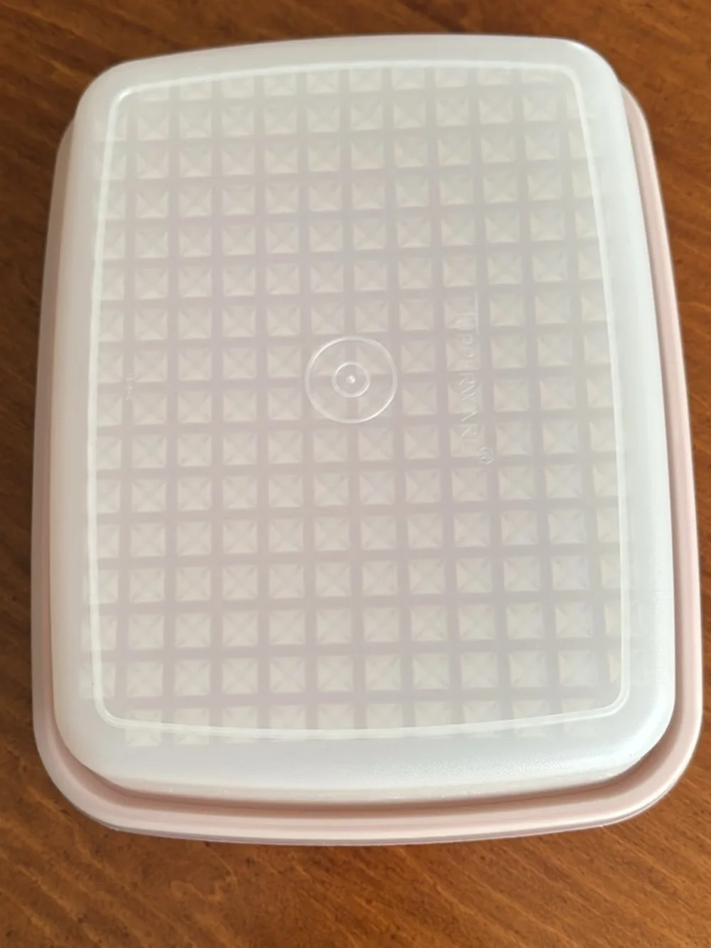Vintage “Tupperware” Marinade Keeper